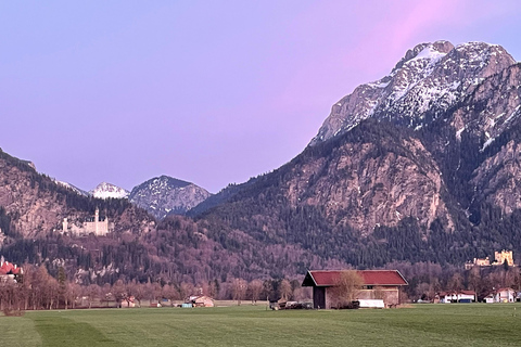 Hohenschwangau: Guided Tour to Neuschwanstein Castle, including tickets Hohenschwangau: Neuschwanstein Castle Tour with Guide and Ticket