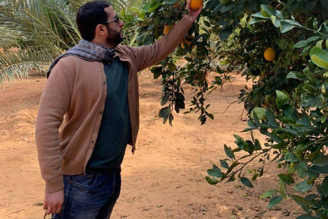 AlUla: Oasis Farm Tour and Traditional Feast with Locals
