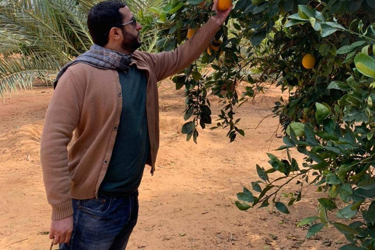 AlUla: Oasis Farm Tour and Traditional Feast with Locals
