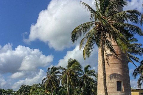 Bentota: Galle Fort, Turtle Hatchery, & Moonstone Mine Tour