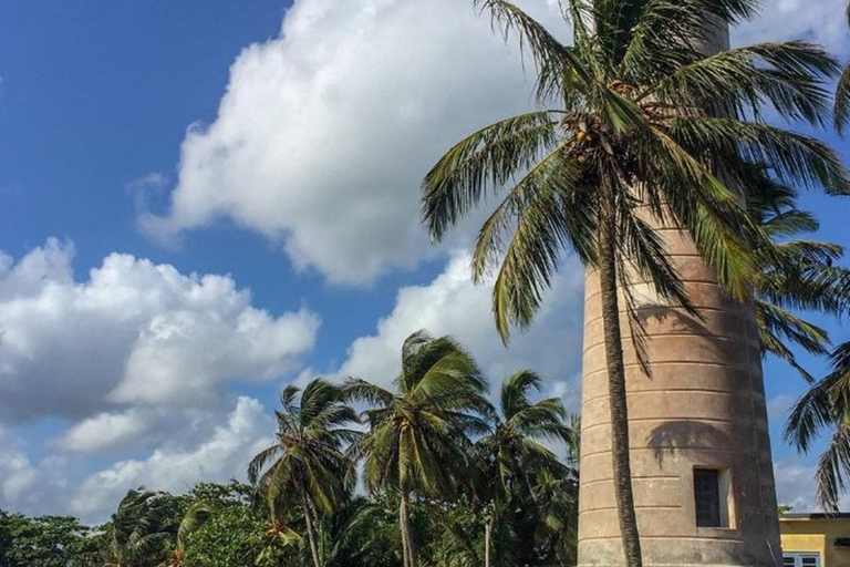 Bentota: Galle Fort, Turtle Hatchery, & Moonstone Mine Tour