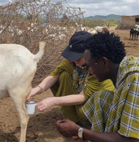 Maasai boma avventura culturale con pranzo e bevande - Hizvo