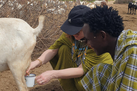 Maasai Boma Kulturerlebnis mit Mittagessen & GetränkenMaasai Boma-Abenteuer