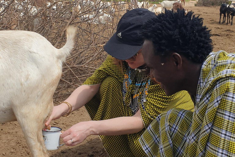 Maasai Boma Kulturerlebnis mit Mittagessen & GetränkenMaasai Boma-Abenteuer