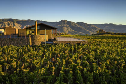 North Etna: Exclusive Wine Tasting