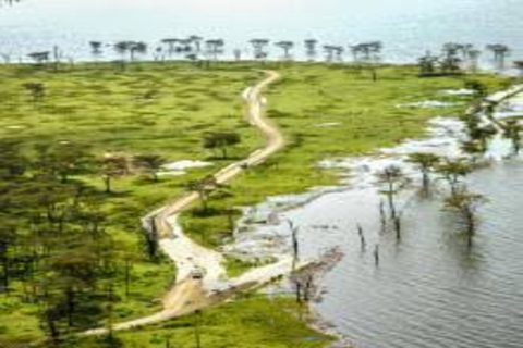 From Nairobi: 3-Day Lake Nakuru National Park Safari