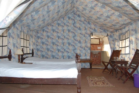Übernachtung im Zelt mit Kamelsafari und FolkloretanzÜbernachtung im Zelt mit Kamelsafari und Volkstanz