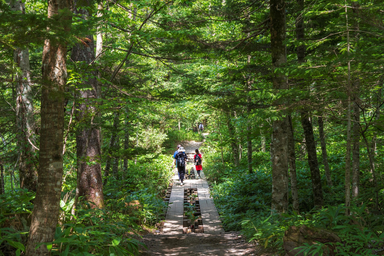 From Tokyo: Kamikochi Autumn Foliage Day Trip by Bus