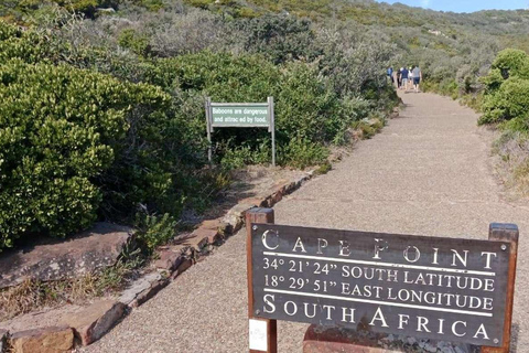 Private Tour: Table Mountain, Penguins Colony & Cape Of Good