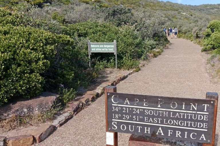 Private Tour: Table Mountain, Penguins Colony & Cape Of Good