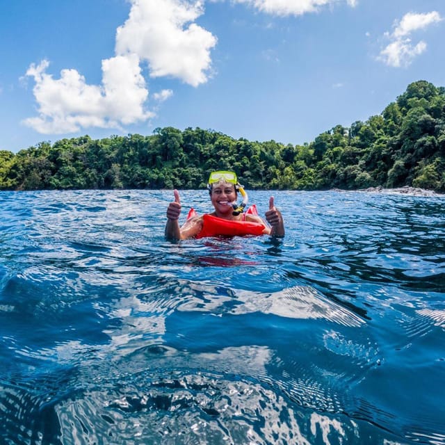 Snorkel en la Isla del Caño | Actividad para toda la familia | GetYourGuide