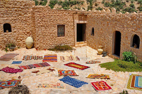 From Tunis to the Sahara: 3-Day Tour of Tozeur and Douz