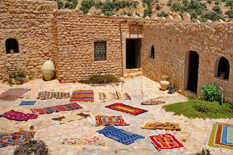 From Tunis to the Sahara: 3-Day Tour of Tozeur and Douz