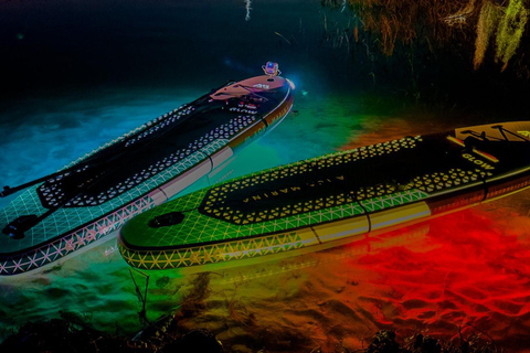 Orlando: Winter Park Paddle AdventureOrlando: Wycieczka na desce SUP w Winter Park