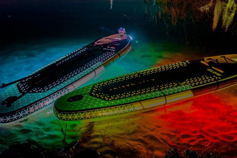 Orlando: Winter Park Paddle AdventureOrlando: Wycieczka na desce SUP w Winter Park