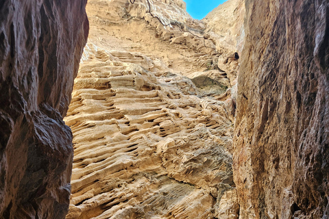 From Tunis: Jebel Ressas Guided Hike with Cave Exploration