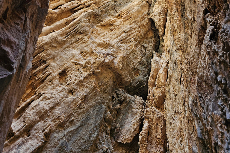 From Tunis: Jebel Ressas Guided Hike with Cave Exploration