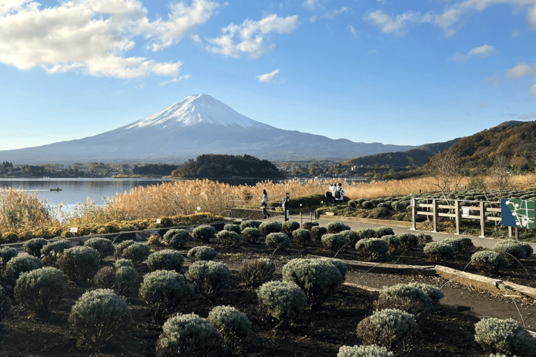 Mount Fuji Full-Day Private Tour from Tokyo (Customizable) Luxury Toyota Crown or SAI