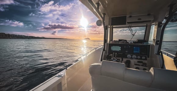 Tenerife: Whale Watching with a Fast New Boat