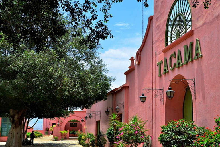 Excursión de un día a la Bodega Tacama