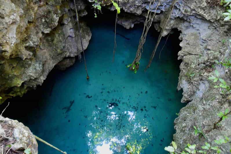 From Tulum: Cenote Riviera Maya & Snorkel Excursion | GetYourGuide