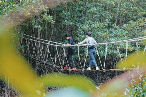 From Ho Chi Minh: Can Gio Mangrove tour