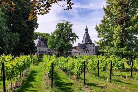Bioul (perto de Dinant) : Visita ao Château de Bioul e degustação de vinhos