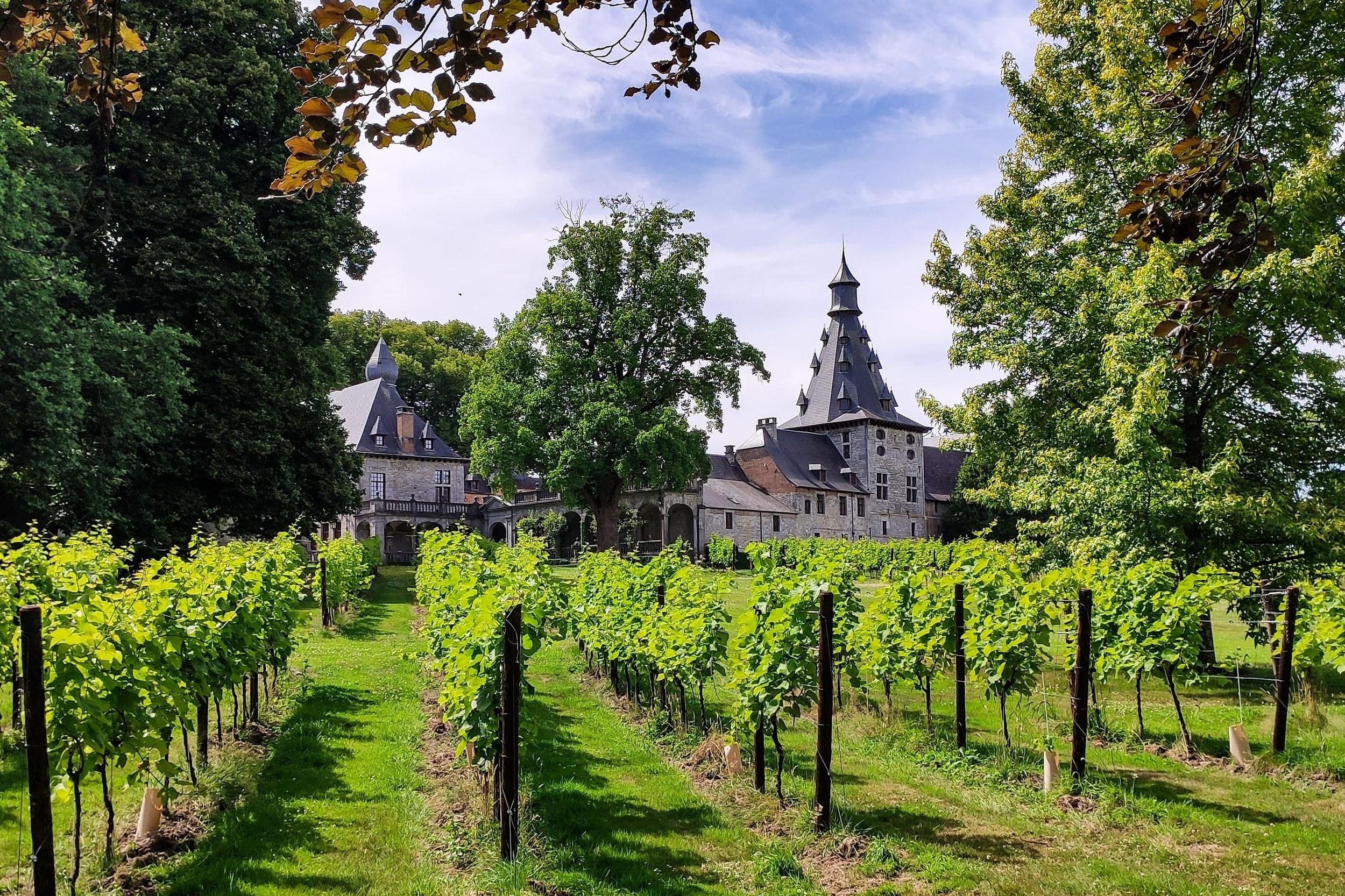 Bioul (bei Dinant) : Château de Bioul Tour und Weinverkostung