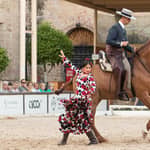 Cordova: ingresso generale allo spettacolo equestre