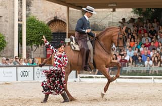 Cordova: ingresso generale allo spettacolo equestre