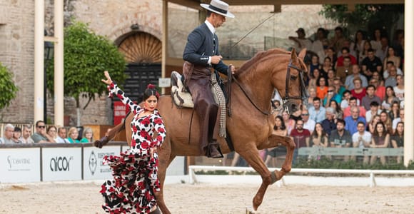 Cordoba: Equestrian Show General Entry