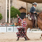 Cordoba: Equestrian Show General Entry