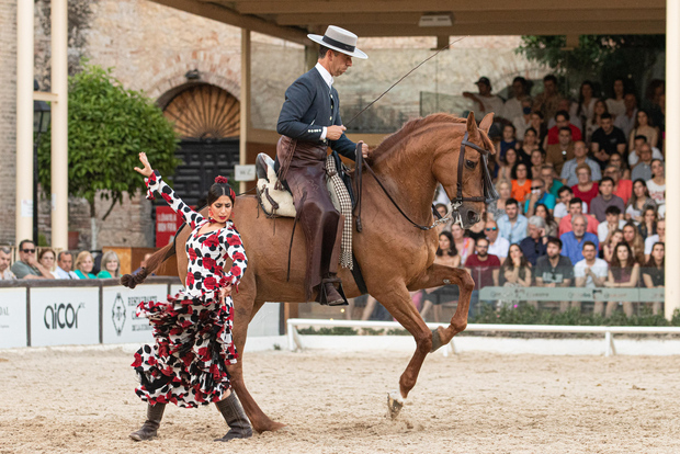 Cordova: ingresso generale allo spettacolo equestre
