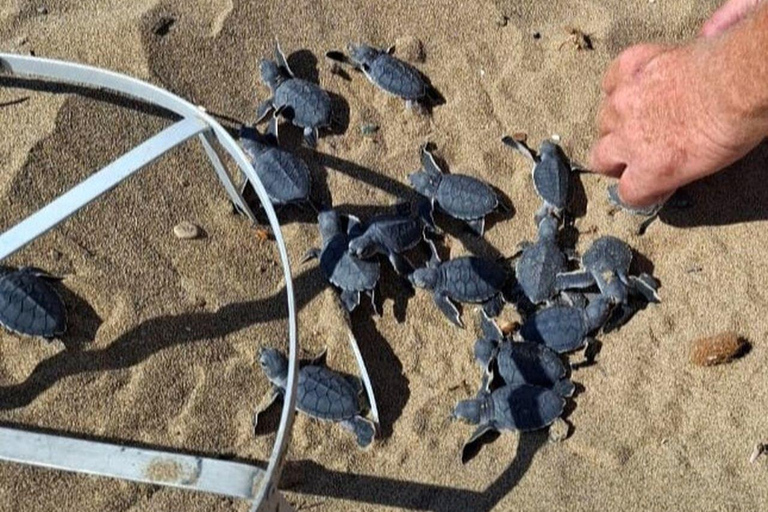 Paphos :Akamas Jeep Safari with cruise to the Blue Lagoon