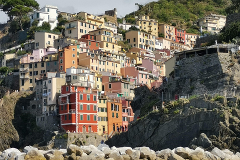 Från Florens: Dagsutflykt i liten grupp till Cinque Terre och Pisa