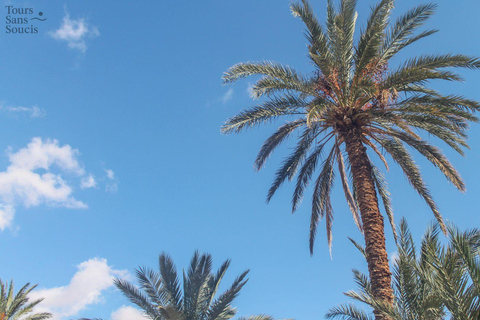 In the footsteps of Star Wars in Tunisia: 3-day tour from Djerba