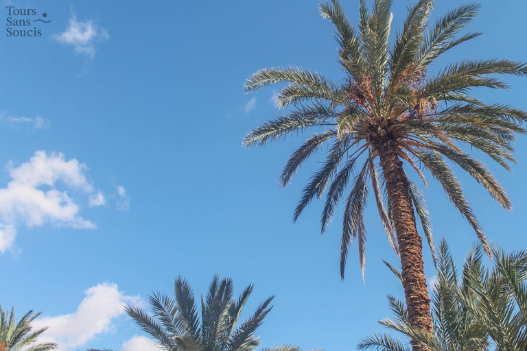 In the footsteps of Star Wars in Tunisia: 3-day tour from Djerba