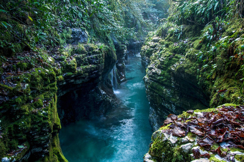 Da Batumi: Tour del Canyon di Martville e della Grotta di Prometeo