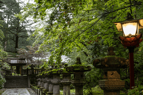 Tokyo: Nikko National Park Private Tour Hotel Pickup & Drop