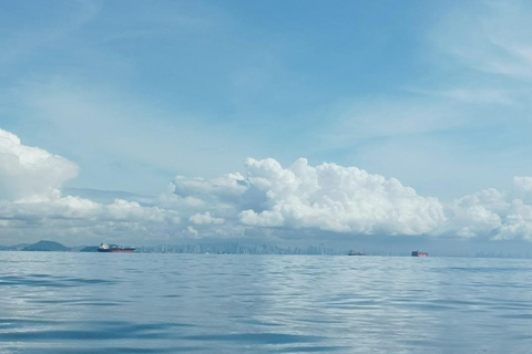 Panama City: Whale Watching Tour with Island Stop
