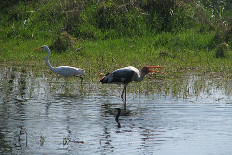 Keoladeo National Park E-tickets guide Rickshaw transfersTour with transfers from Agra