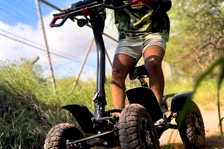 Oahu: *NEU* Stand-Up-ATV- &amp; Sonnenuntergangs-Schnorchelkreuzfahrt-AbenteuerOahu: *NEU* Stand-up-ATV &amp; Schnorchel-Kreuzfahrt bei Sonnenuntergang