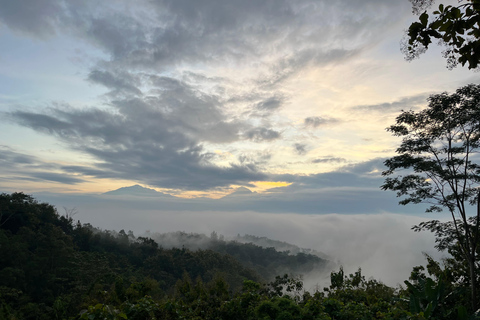 Yogyakarta: Sunrise Punthuk Setumbu, Borobudur & Prambanan