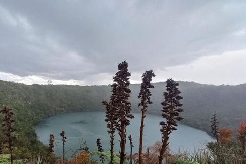 Arepa and dessert tour. Guatavita, Casa Loca, Salt Cathedral, and 7 more places Arepa and Dessert Tour Guatavita, Casa Loca, Salt Cathedral, and 7 more sites