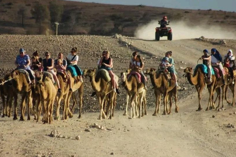 Marrakech: Agafay Desert Quad, Camel Ride & Dinner Fire Show