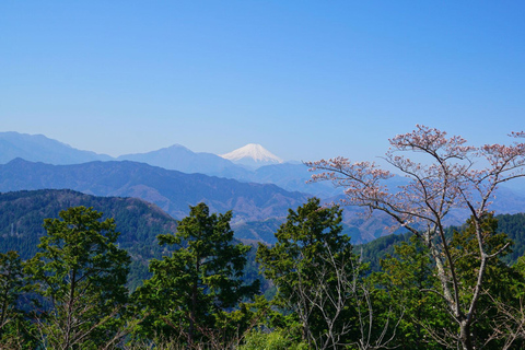 Äventyr i Mount Takao: Upptäck natur och tradition i Tokyo