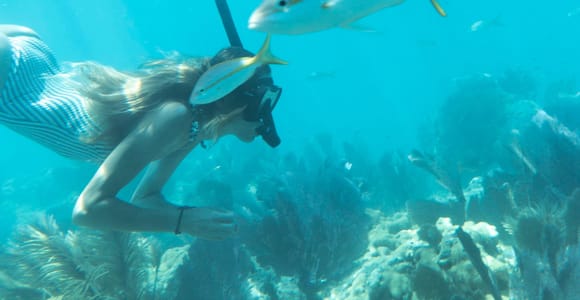 Reef Snorkel + Sandbar & Sunset Sail