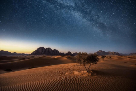 Doha: Moonlight Desert Safari with 4x4 & Camel Experience