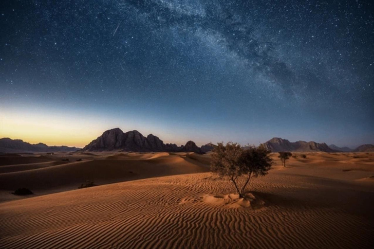 Doha: Moonlight Desert Safari with 4x4 & Camel Experience