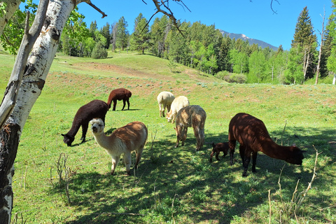 Senderismo y acampada en Colorado - excursión de 2 días